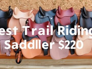 best saddles under $200 for trail riders