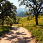 top horse trail riding spots