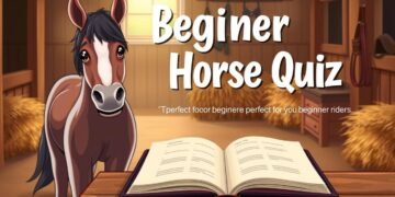 which horse breed is best for beginners quiz