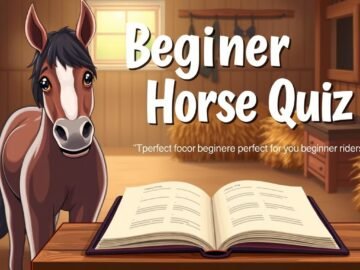 which horse breed is best for beginners quiz